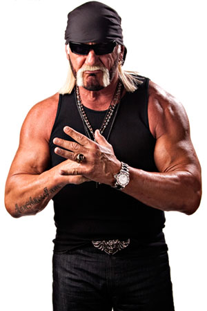 Hollywood Hogan